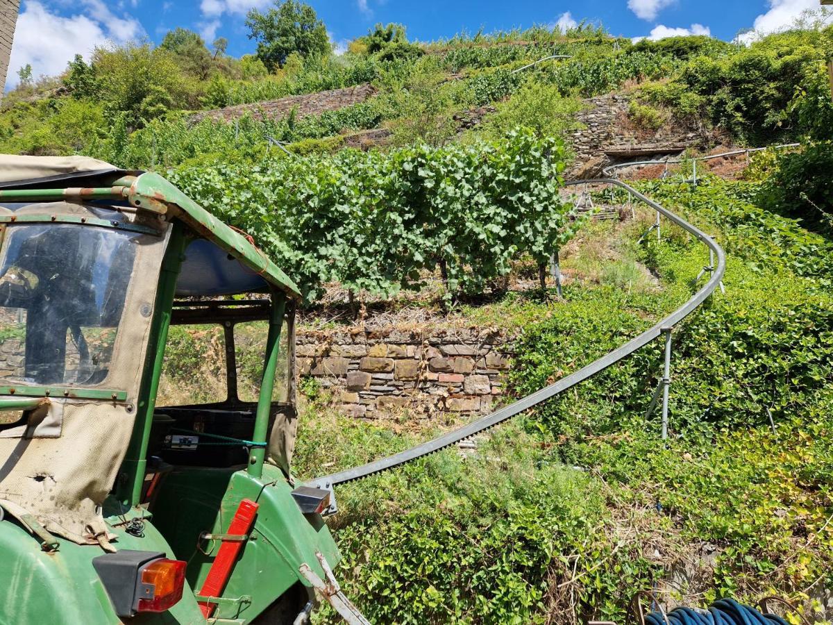 Weingut Haxel Otel Cochem Dış mekan fotoğraf