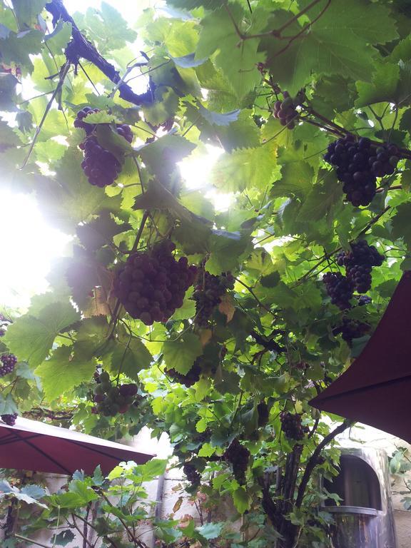 Weingut Haxel Otel Cochem Dış mekan fotoğraf
